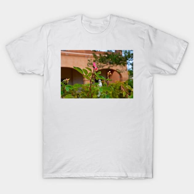 San Felipe de Neri Study 6 T-Shirt by bobmeyers